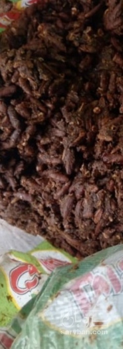 فروش هسته  خرما