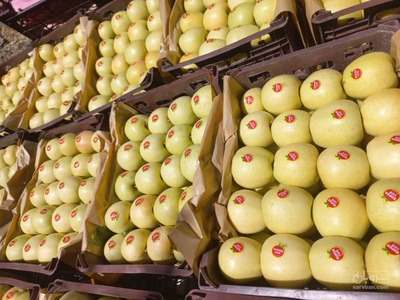 فروش سیب زرد