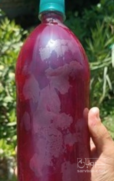 فروش آب انار