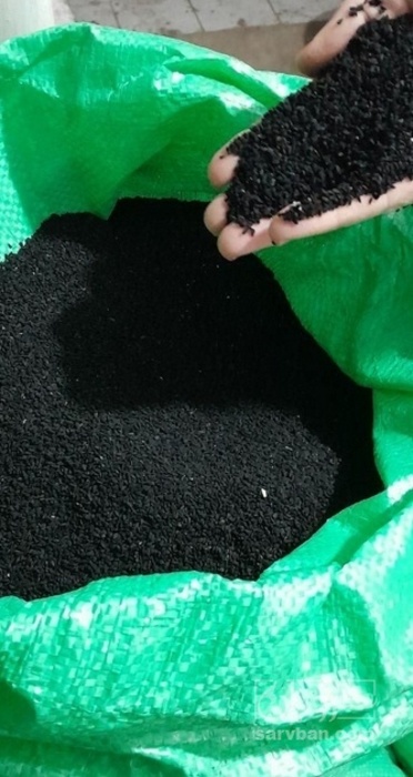 فروش  سیاه دانه
