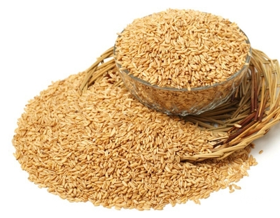 فروش گندم آبی