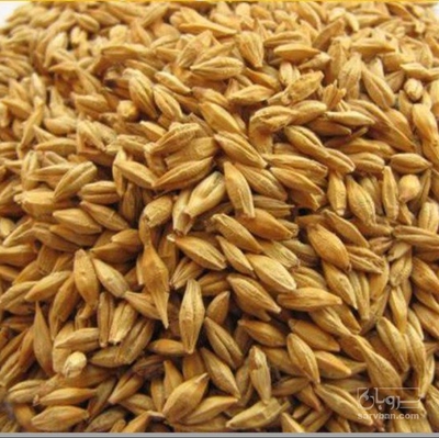 فروش جو