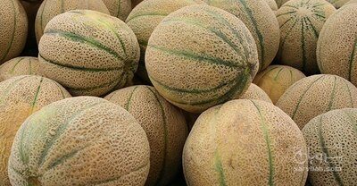 فروش طالبی