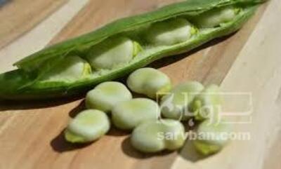 فروش باقلا تازه - باقالی - باقالا