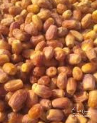 فروش خرما زاهدی
