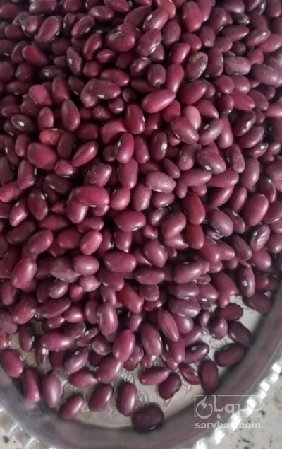 فروش لوبیا قرمز
