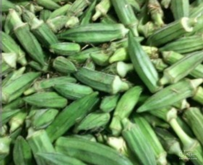 فروش بامیه