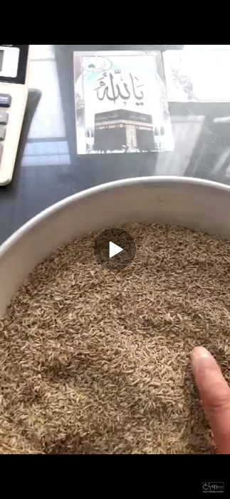 فروش زیره سبز (گیاه‌ دارویی)