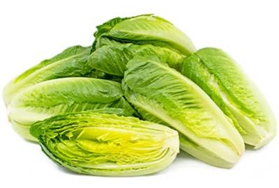 فروش کاهو رسمی