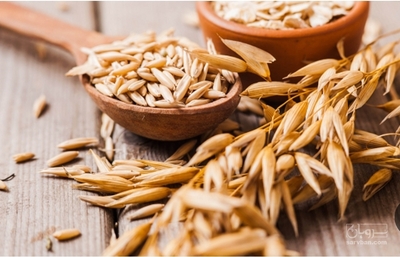 فروش گندم آبی