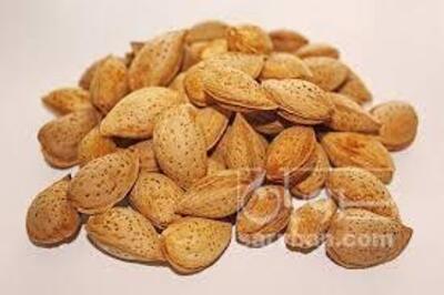 فروش بادام درختی