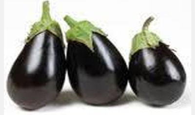 فروش بادمجان دلمه