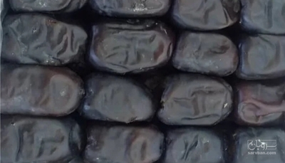 فروش خرما مضافتی