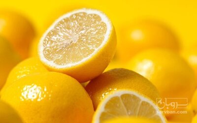 فروش لیمو شیرین