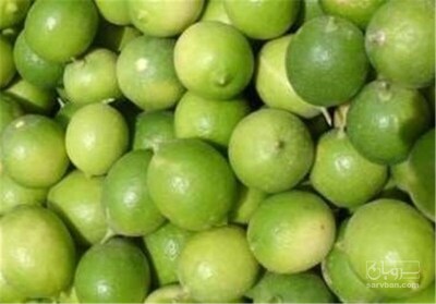 فروش لیموترش