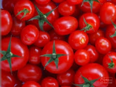 فروش گوجه فرنگی