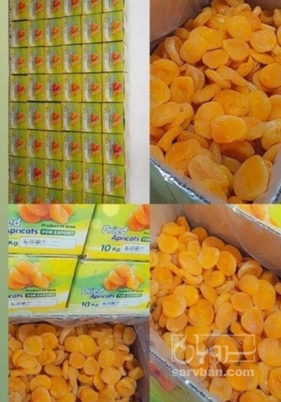 فروش برگه قیسی