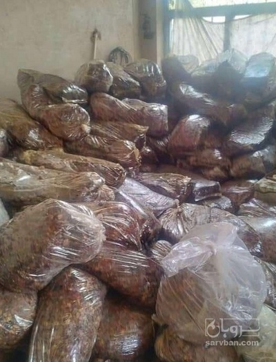 فروش خرما لواشکی