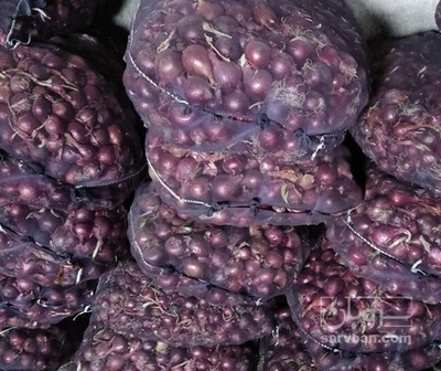 فروش پیاز قرمز ریز