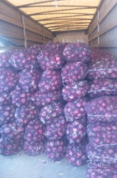 فروش پیاز قرمز