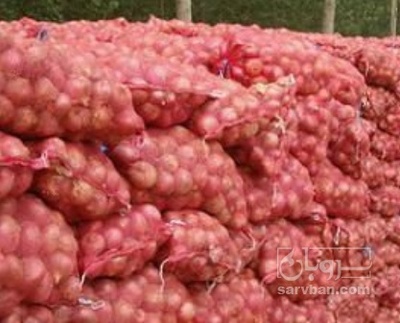 فروش پیاز قرمز