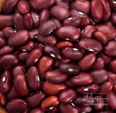 فروش لوبیا قرمز