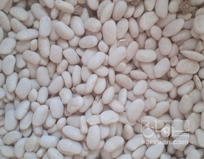 فروش لوبیا سفید