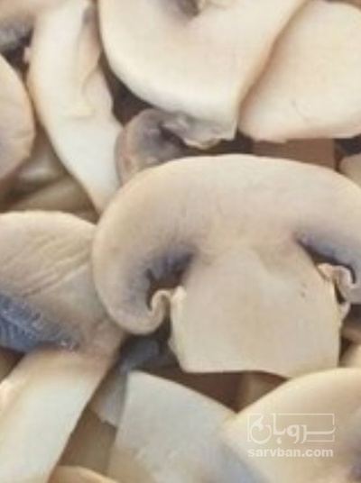 فروش قارچ دکمه ای بلانچ