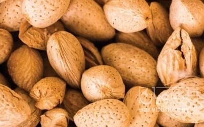 فروش بادام درختی