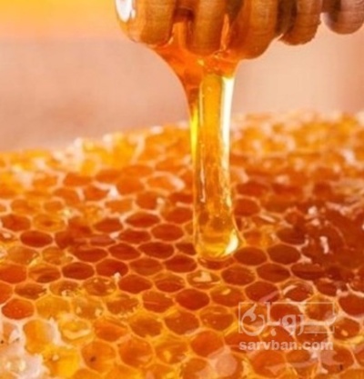 فروش عسل  گون و بهاره چند گیاه طبیعی و ارگانیک