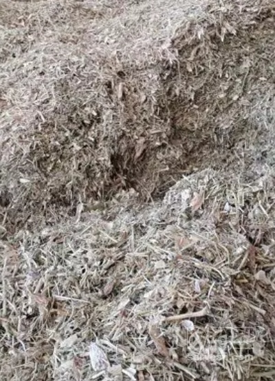 فروش کاه لوبیا چیتی