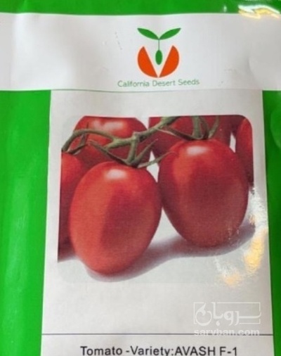 فروش  بذر گوجه فرنگی هیبریدf1