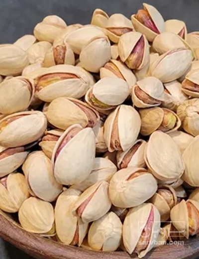 فروش پسته فندقی