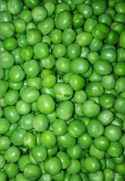 فروش نخود فرنگی