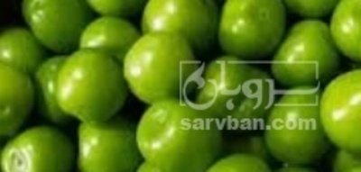فروش گوجه سبز