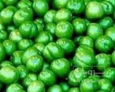 فروش گوجه سبز