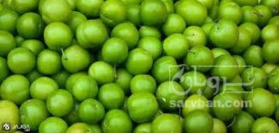 فروش گوجه سبز