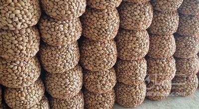 فروش بادام درختی