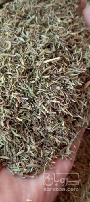 فروش آویشن خشک (گیاه‌ دارویی)