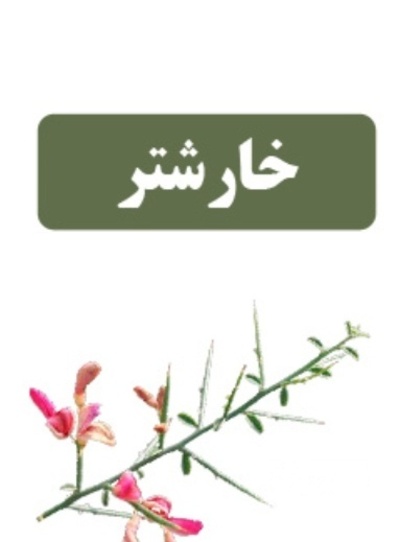 فروش عرق خارشتر