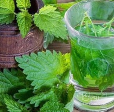 فروش عرق گزنه