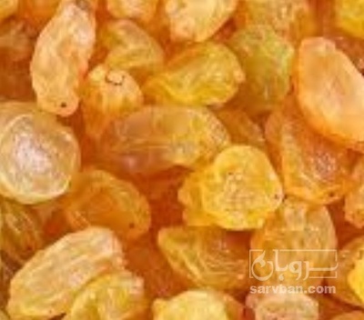 فروش کشمش گلدن