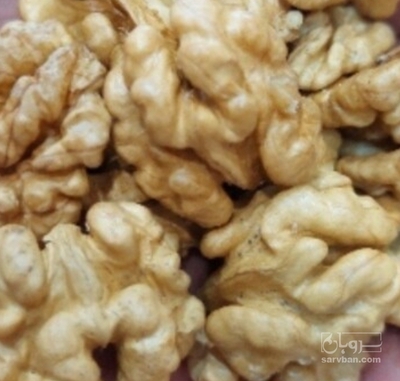 فروش گردو