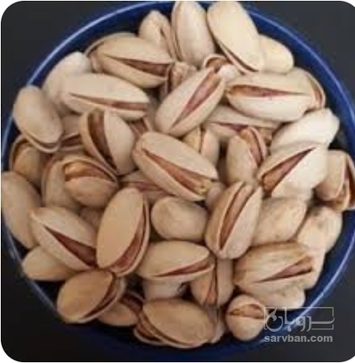 فروش پسته
