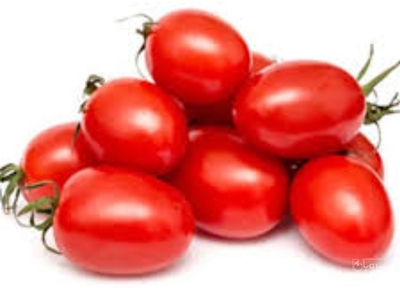 فروش گوجه فرنگی