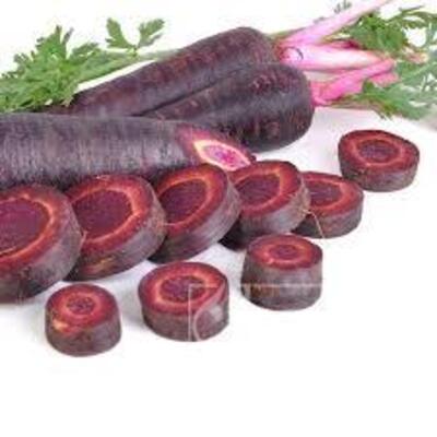 فروش هویج بنفش