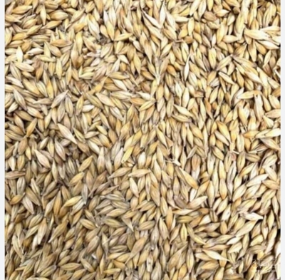 فروش جو