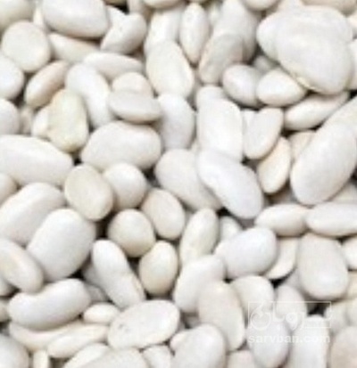 فروش لوبیا سفید