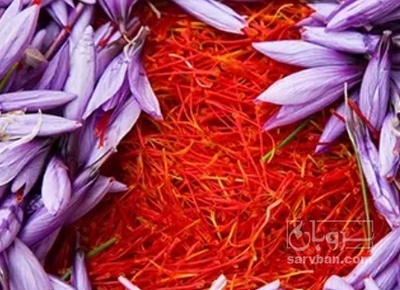 فروش زعفران سرگل