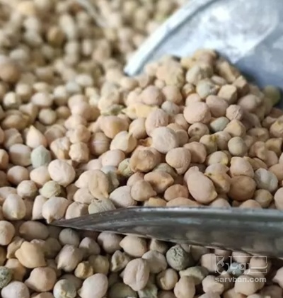 فروش نخود فلافلی